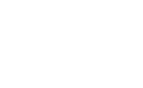 新燕